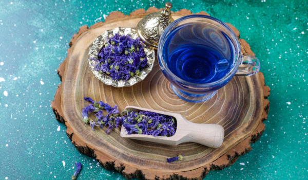 preparing Butterfly Pea Flower Tea Recipe for Weight Loss 