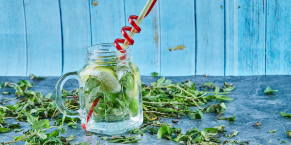 Lemon Balm Recipe for Weight Loss
