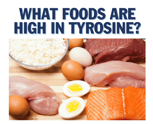 L-Tyrosine for Weight Loss