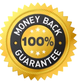 MetaLean Complete Guarantee