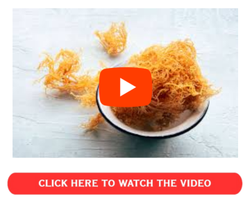 Sea Moss Supplements