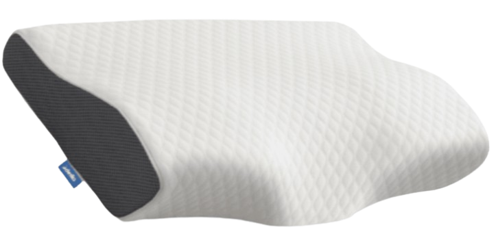 Beautyrest Memory Foam Pillow Reviews