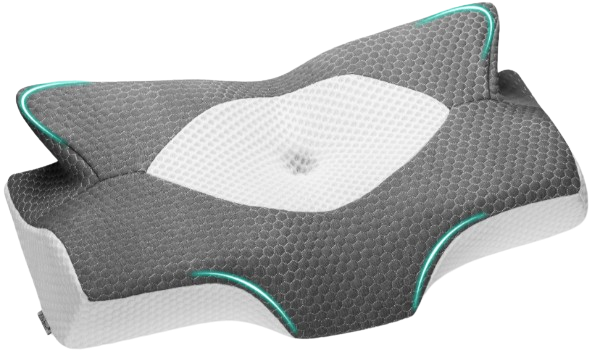 Elviros Cervical Memory Foam Pillow Reviews