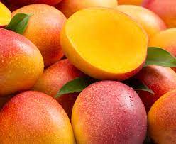 African Mango Seed Extract