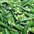 East Indian Okra Pods'