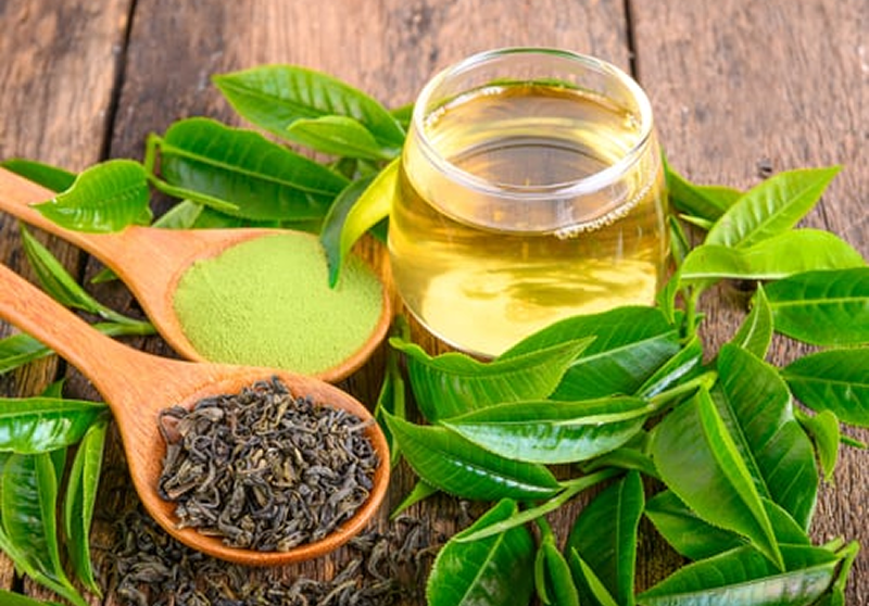 Green Tea (Camellia sinensis) Leaf Extract