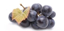 Resveratrol