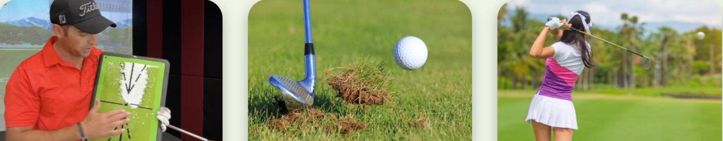 Birdie Mat Pro Customer Reviews