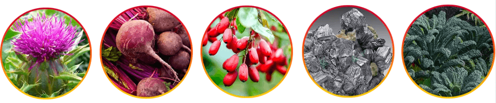 HepatoBurn Ingredients 2