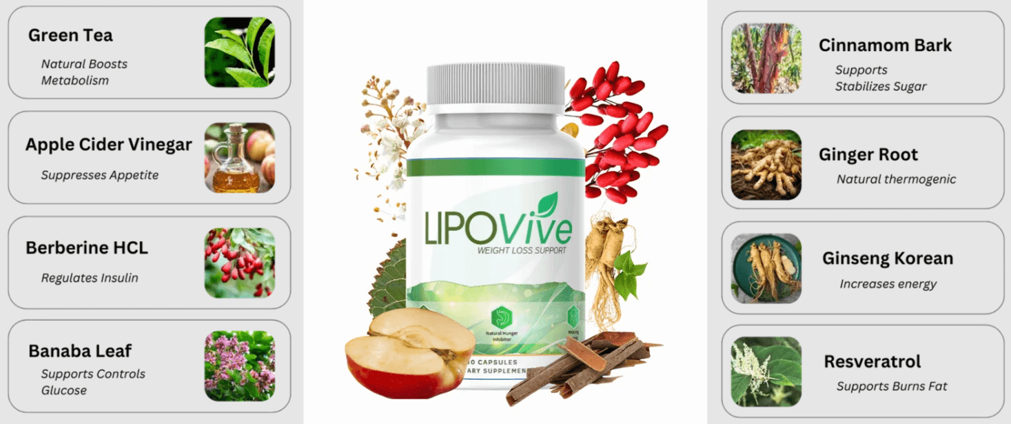 LipoVive Ingredients