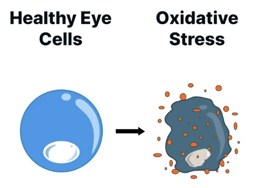 Lumineye Eye Drops Benefits