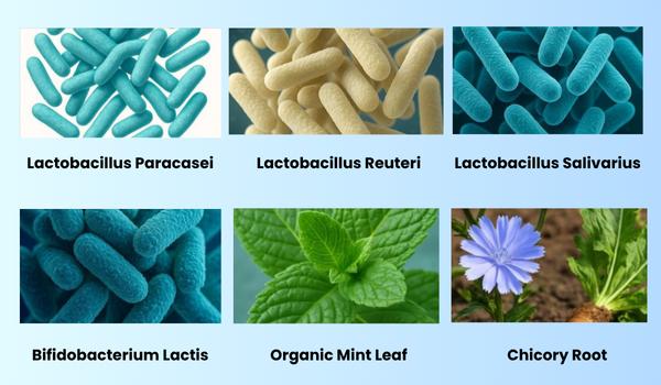 Purdentix Ingredients