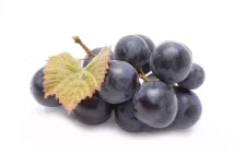 Resveratrol