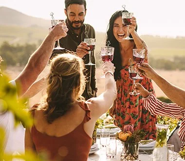 The Wand Wine Purifier Benefits