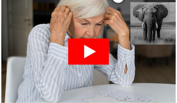 ELEPHANT TRICK FOR MEMORY LOSS