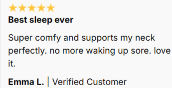 Ergo Z Pillow Customer Reviews