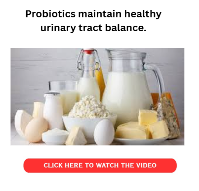 Probiotics maintain healthy urinary tract balance.