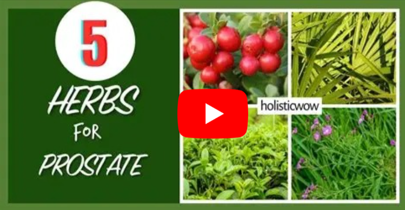 herbs for prostate health