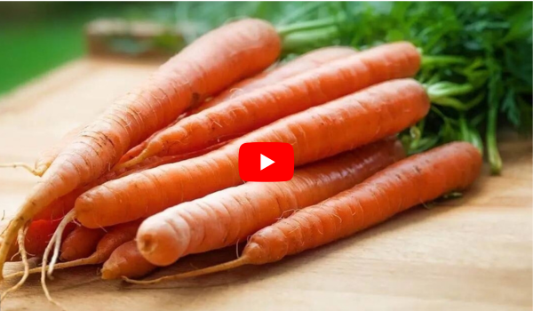 Raw Carrot Salad for Hormone Balance