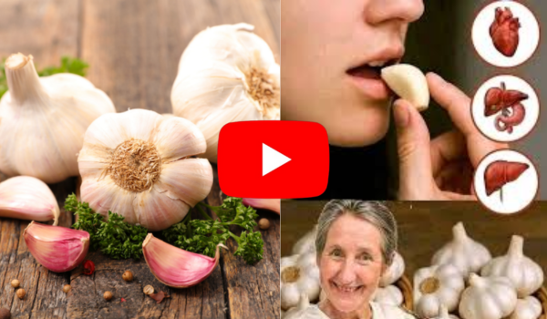 Garlic Benefits for Health