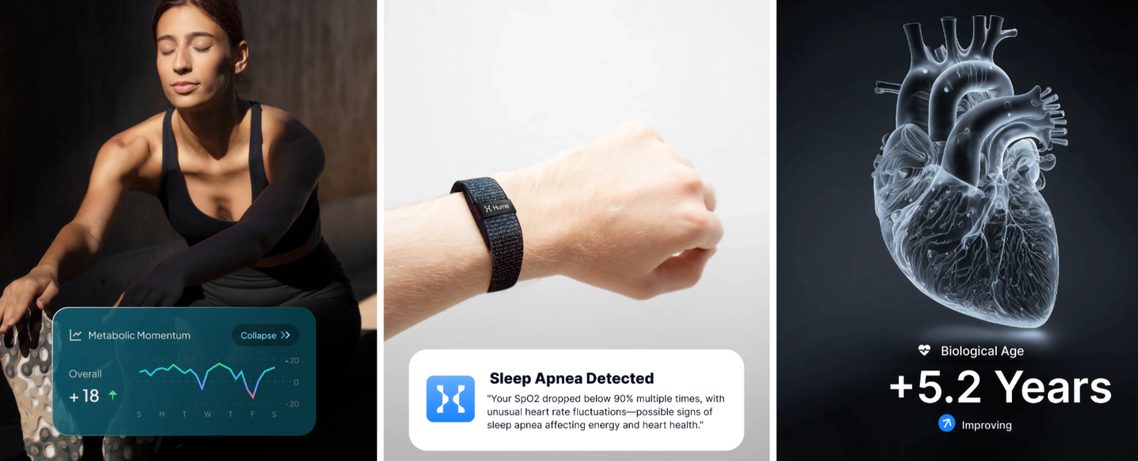 Hume Band Key Features