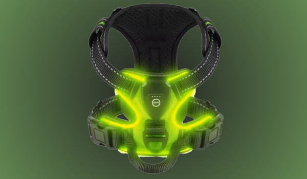 RadPaws LED Harness Reviews