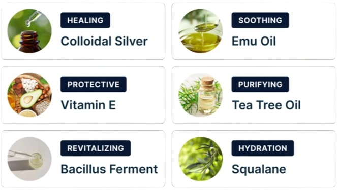 Dermafix Nail Fungus Treatment Gel Ingredients