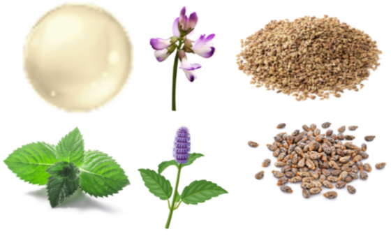 Fungexin Fungus Pen Ingredients