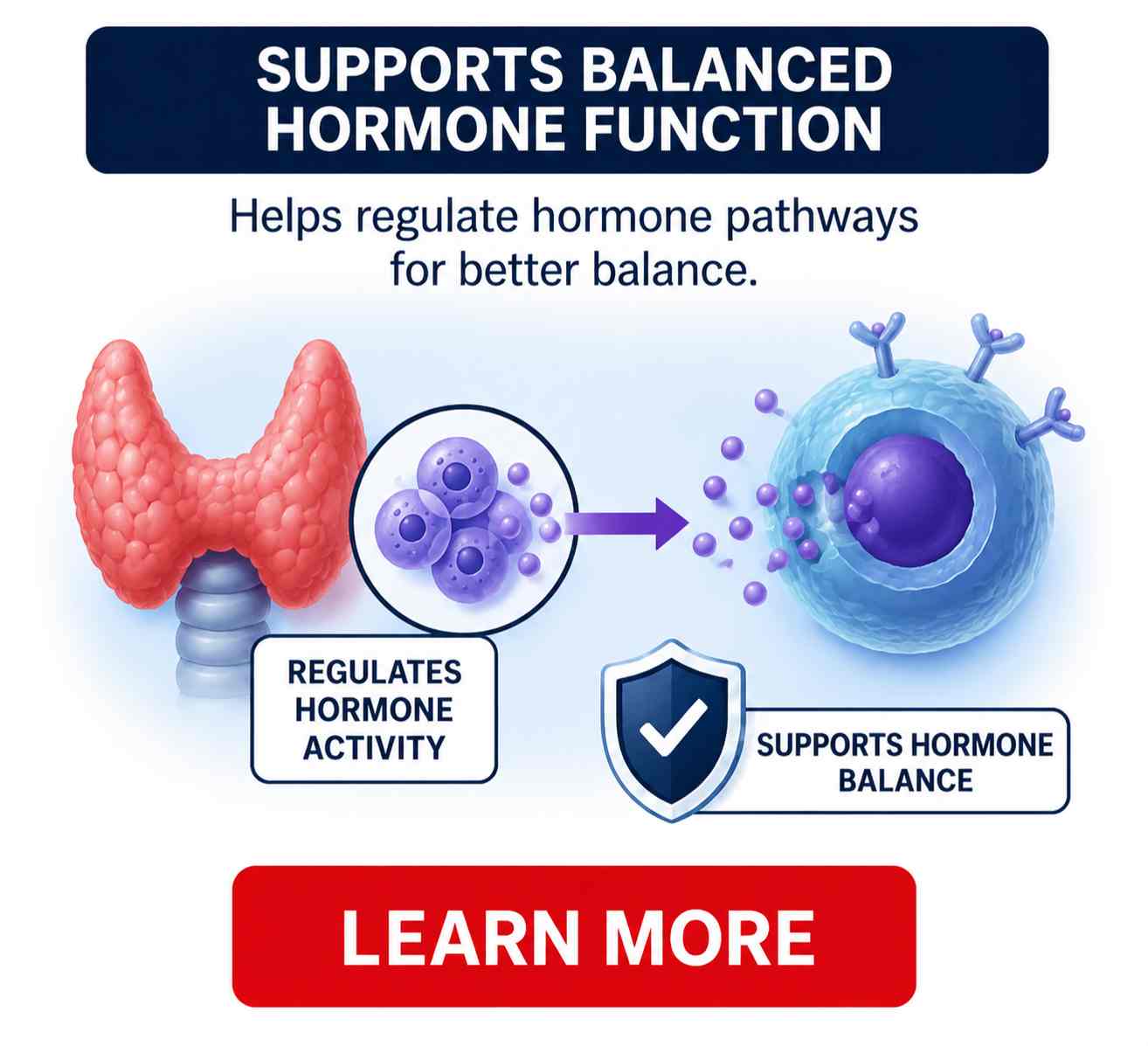 Balanced Hormone Function