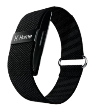 Hume Band