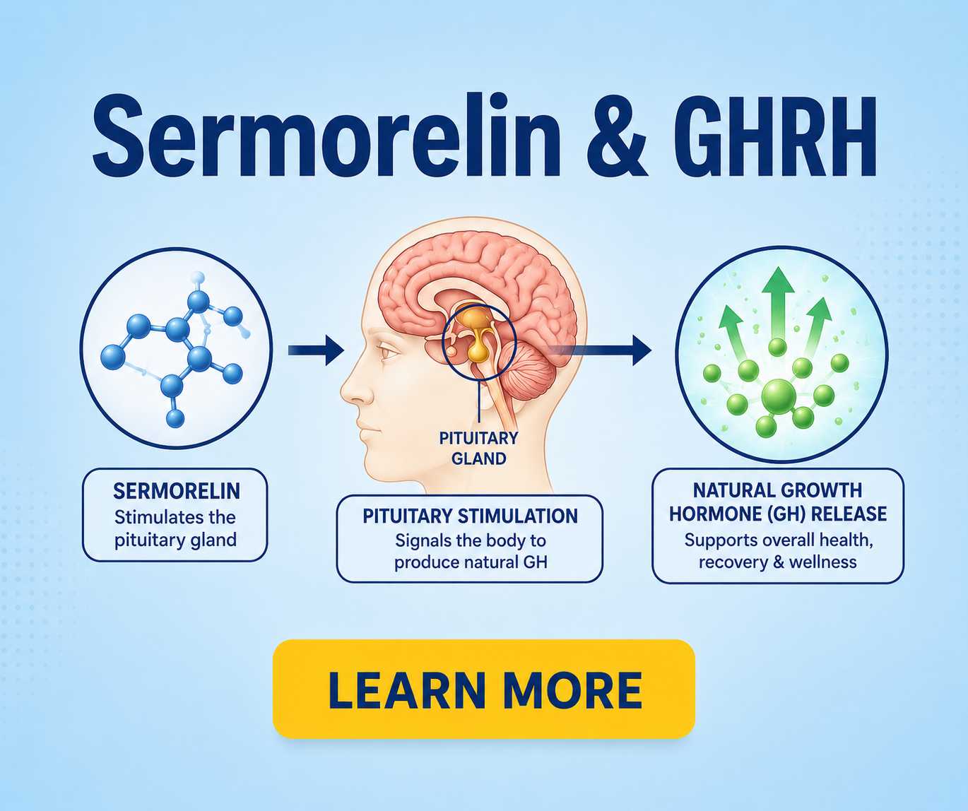 Sermorelin & GHRH