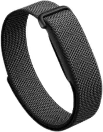 Fitbit Air