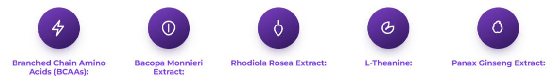 MemoFix Ingredients