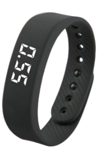 Pedometer
