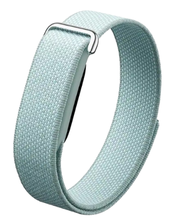 Regular Fitbit