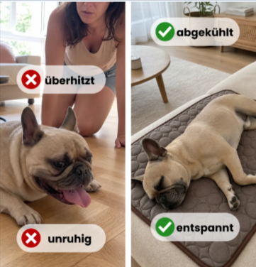Hatme Pet Summer Cooling Mat Vorteile