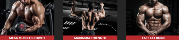 D-Bal Max Benefit