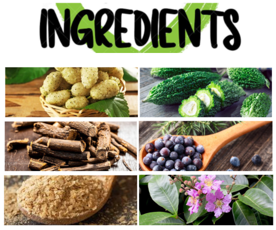 altai balance ingredients