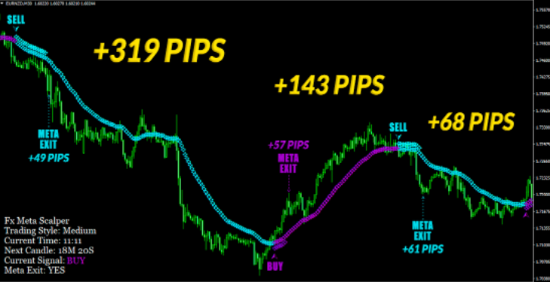 FX Meta Scalper Program