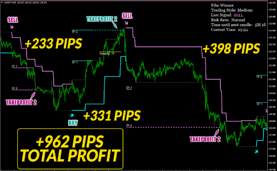 Fibo Winner Program - Accurate Trades with Maximum Profit