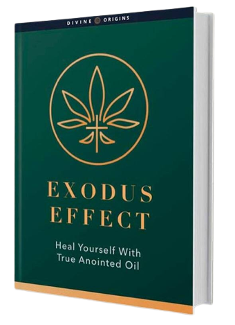 Exodus Effect Reviews