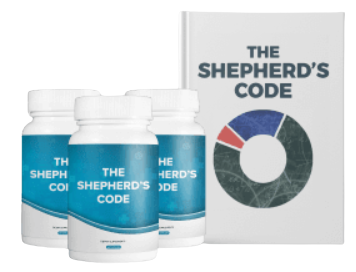 The Shepherd’s Code Reviews