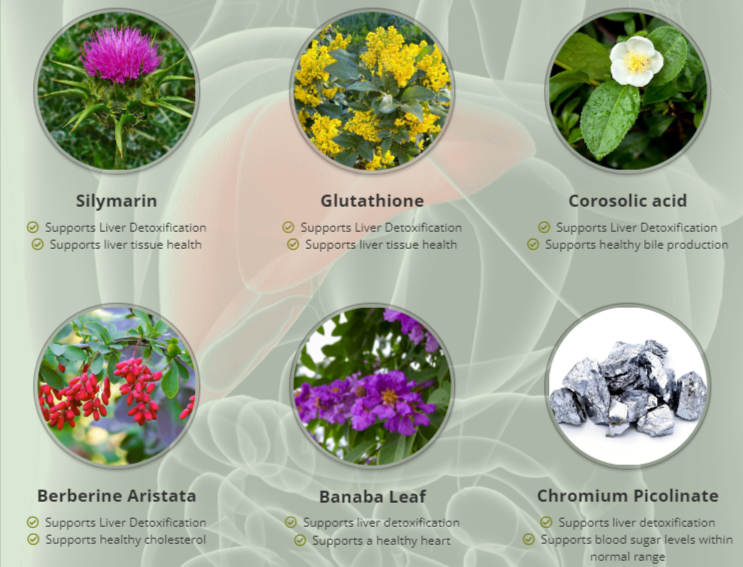 Puralean Ingredients