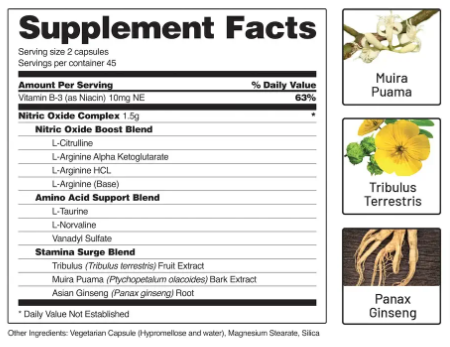 Snap Nitric Oxide Booster Ingredients