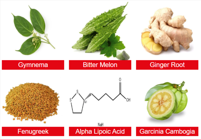 GL-90 Ingredients